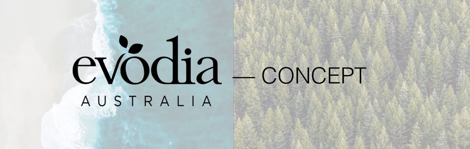 evodia  แนวคิด AUSTRALIA