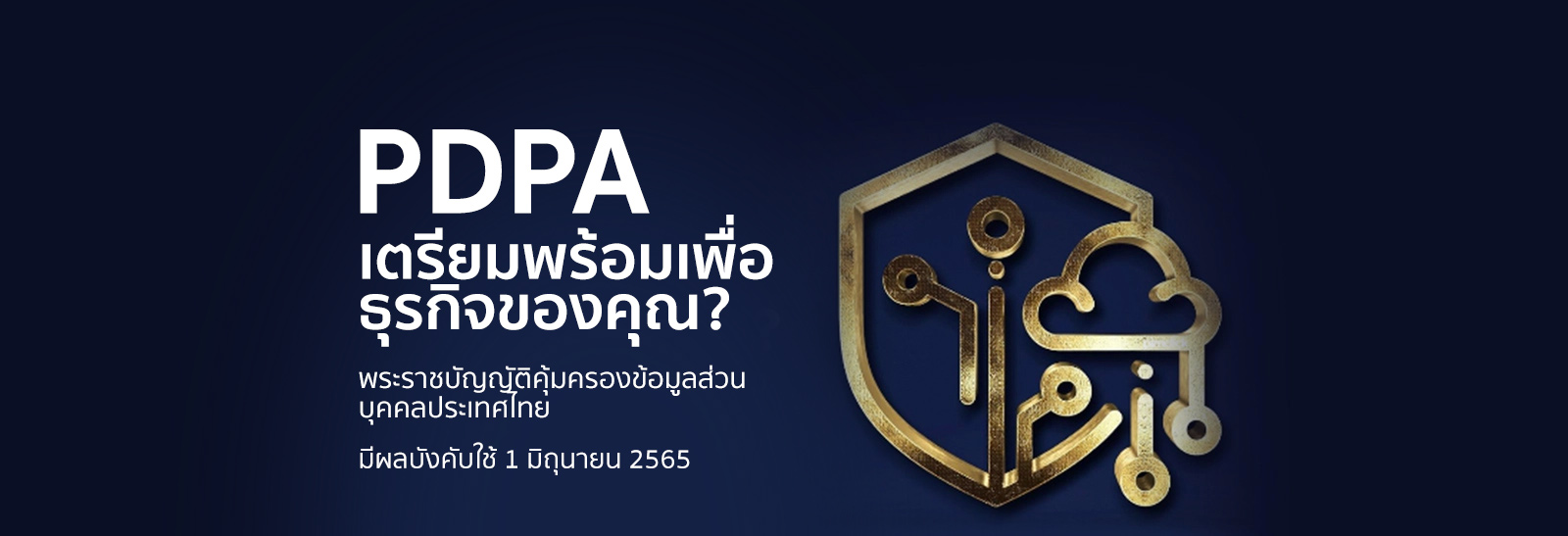 การปกป้องข้อมูล & PDPA
