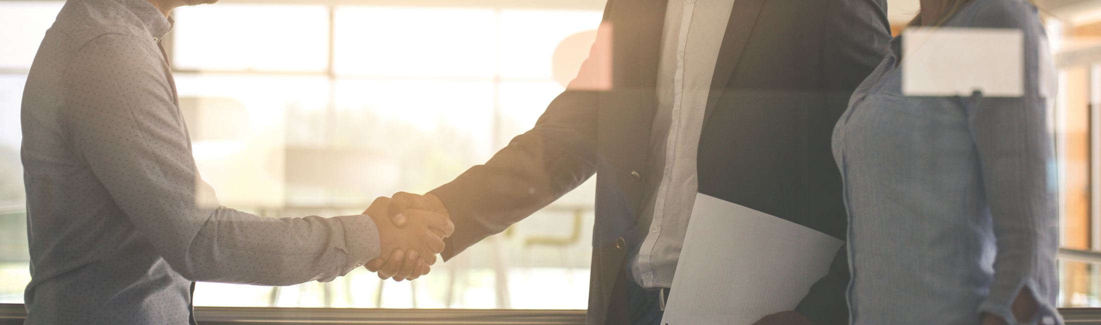 SEO Success Stories: How Pimclick Transformed Businesses in Bangkok